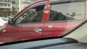 国产神车暴跌视频大全,视频大全揭示市场风云变幻