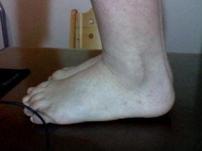 国产白袜足精视频,探寻传统与现代交融的足部文化魅力