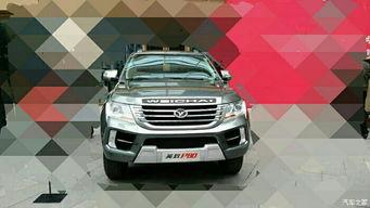 国产皮卡怎么喷水的视频