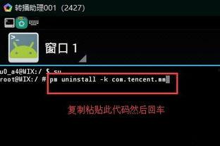 国产开小视频网站,开小视频，引领潮流的短视频盛宴